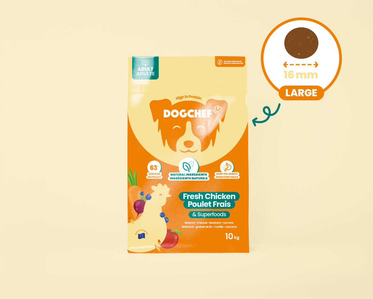 Chicken kibble - 10 kg - L - XL